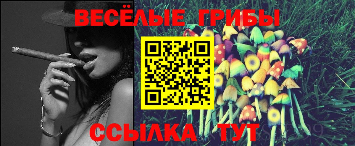 Псилоцибиновые грибы мицелий  Вход с VPN  Углич 